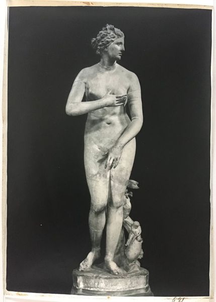 Productafbeelding Braun. Vénus de Médicis.