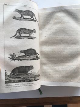 Produktillustration