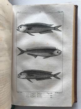 Produktillustration