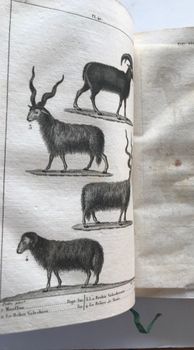 Produktillustration