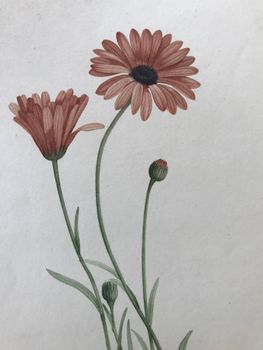 Illustration du produit
