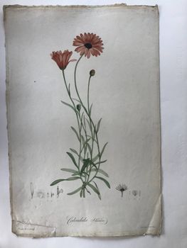 Illustration du produit