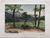 Product Charles Schulé. Trois Epis. Aquarelle. 1906. miniatuur