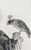 Product Cornelis Visscher. Saints du nord et du sud des Pays-Bas. thumbnail