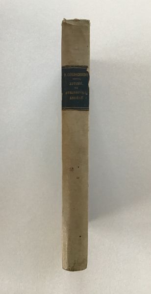 Productafbeelding D. Goldschmidt. Autour de Strasbourg assiégé. 1870.