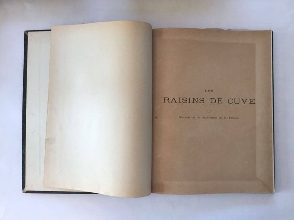 Product image Daurel, J. Les raisins de cuve de la Gironde et du sud ouest de la France.