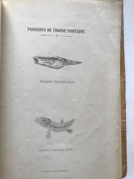 Productafbeelding Docteur Muston. Notices géologiques. Montbéliard.