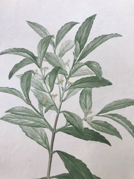 Product illustration
