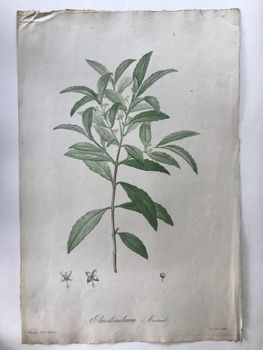 Product illustration