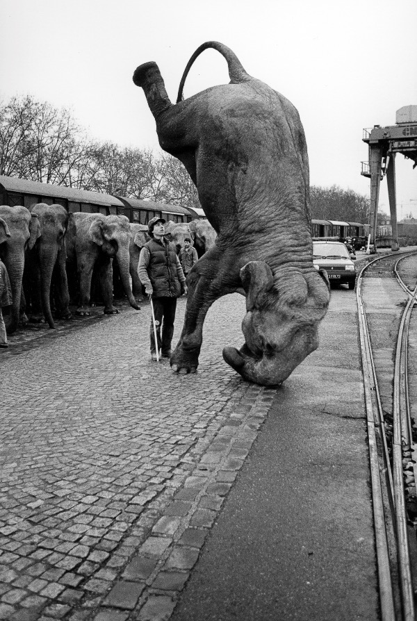 Image du produit Eléphant, American Circus, gare de Bercy, Paris, 1985