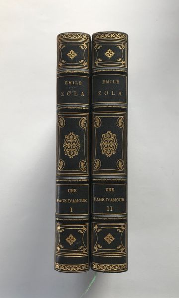 Product image Emile Zola. Une page d'amour.