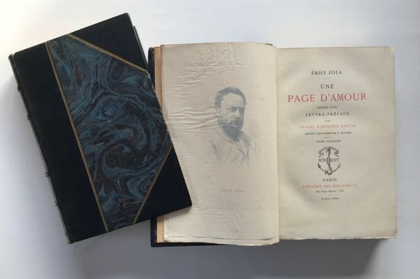 Product image Emile Zola. Une page d'amour.
