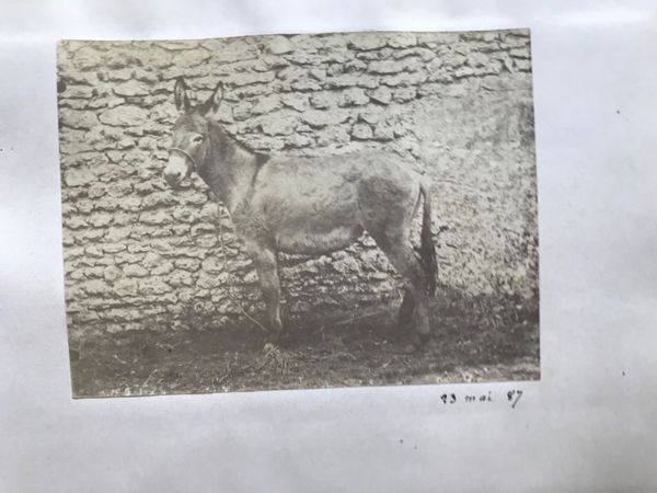 Product image Ensemble de 29 portraits. Vers 1888.