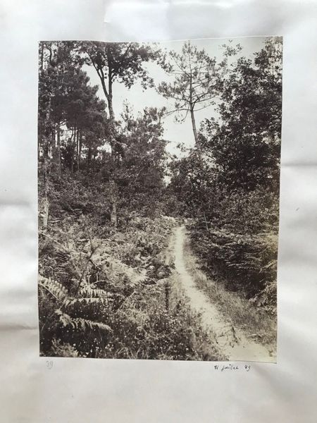 Product image Ensemble de 29 portraits. Vers 1888.