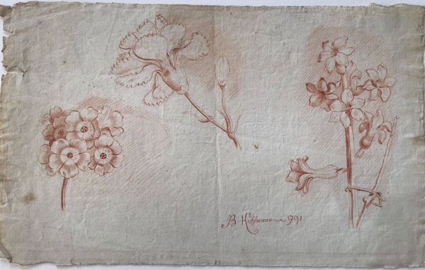 Image du produit Ensemble de 4 dessins à la sanguine. Fin XVIIIe siècle. Colmar.