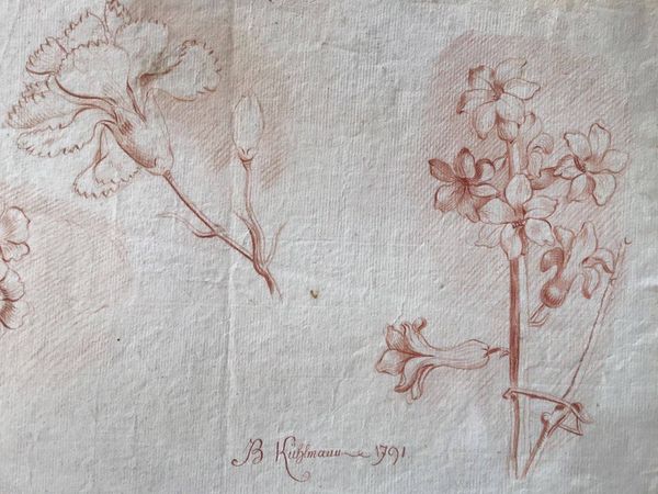 Image du produit Ensemble de 4 dessins à la sanguine. Fin XVIIIe siècle. Colmar.