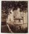 Miniature du produit Eugène Atget. Douves du Château de Grosbois. Boissy-Saint-Léger.