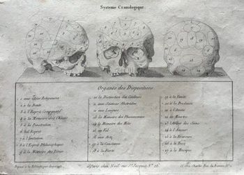 Illustration du produit