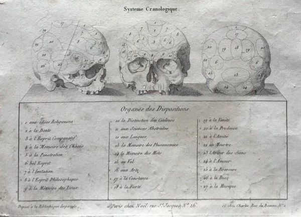 Product image F.J. Gall. Système cranologique.