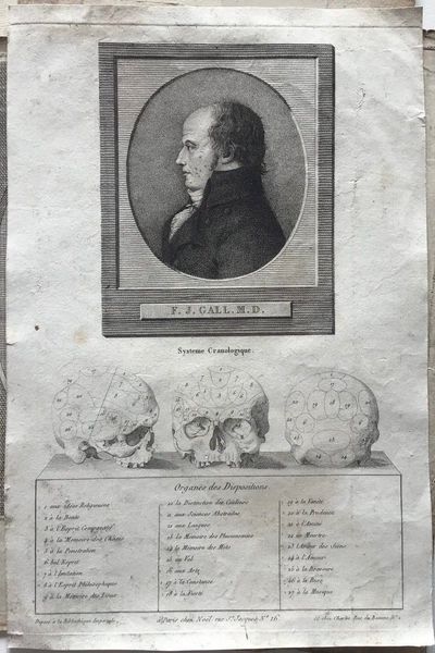 Product image F.J. Gall. Système cranologique.