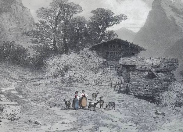 Produktbild F. L. de Niederhäusern. Les gardiennes de chèvres.
