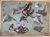 Product F.X. Neukirch. Feuille d'étude de poissons. miniatuur