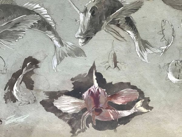 Productafbeelding F.X. Neukirch. Feuille d'étude de poissons.