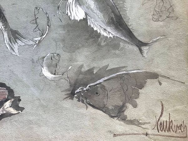 Productafbeelding F.X. Neukirch. Feuille d'étude de poissons.