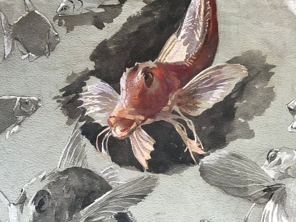 Productafbeelding F.X. Neukirch. Feuille d'étude de poissons.
