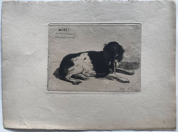 Produktbild Félix Bonvin. Une chienne de profil.