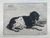Produktminiatur Félix Bonvin. Une chienne de profil.