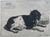 Produktminiatur Félix Bonvin. Une chienne de profil.