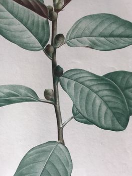 Produktillustration