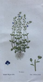 Produktillustration