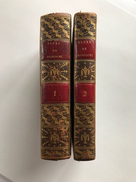 Productafbeelding Flore de Bourgogne. 1782.