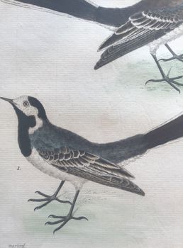 Produktillustration