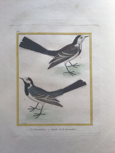Productafbeelding François Nicolas Martinet. Lavandières.