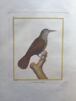 Illustration du produit