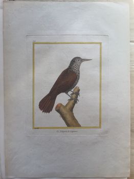 Illustration du produit