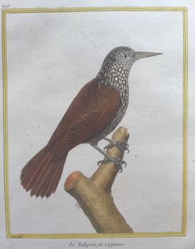 Illustration du produit
