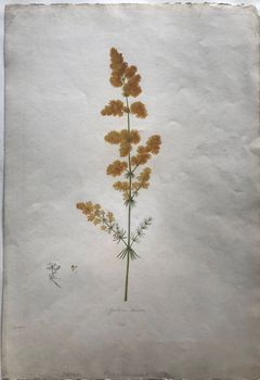 Illustration du produit
