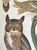 Product Great Horned Owl & all. miniatuur
