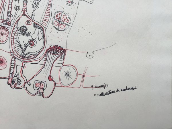Productafbeelding Guido Biasi. Dessin original.