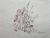 Product Guido Biasi. Dessin original. miniatuur