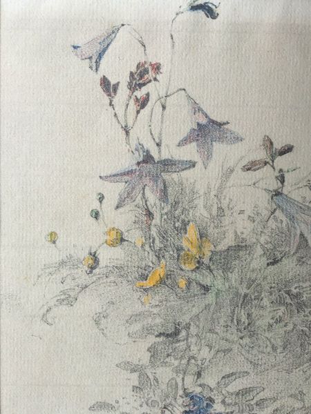 Productafbeelding Gustave Eyer. Fleurs des champs. Dessin original.
