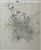 Product Gustave Eyer. Fleurs des champs. Dessin original. miniatuur