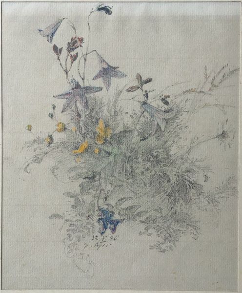 Productafbeelding Gustave Eyer. Fleurs des champs. Dessin original.