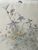 Product Gustave Eyer. Fleurs des champs. Dessin original. miniatuur