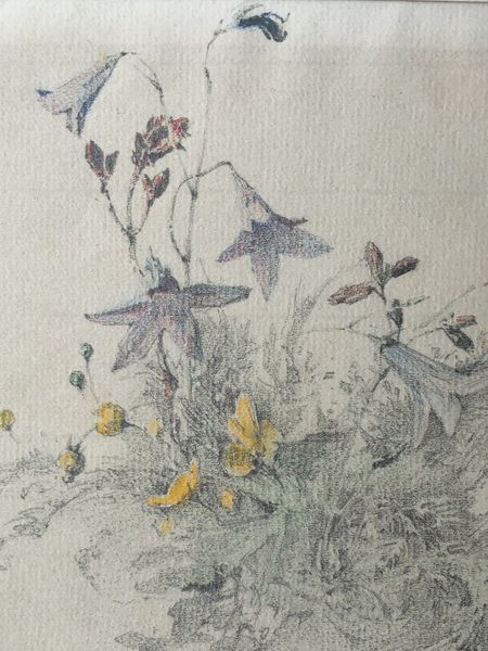 Productafbeelding Gustave Eyer. Fleurs des champs. Dessin original.