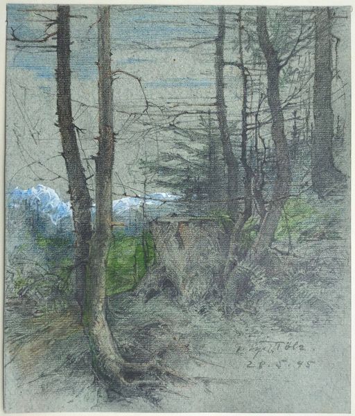Image du produit Gustave Eyer. Sous-bois avec vue sur les Alpes. Environs de Bad Toelz. Dessin original.